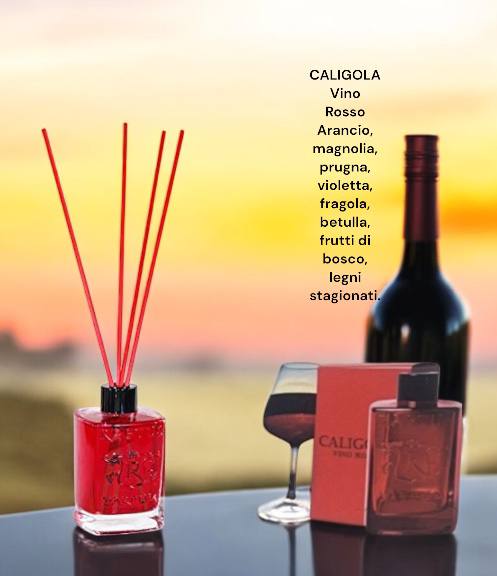 Diffusore per ambiente